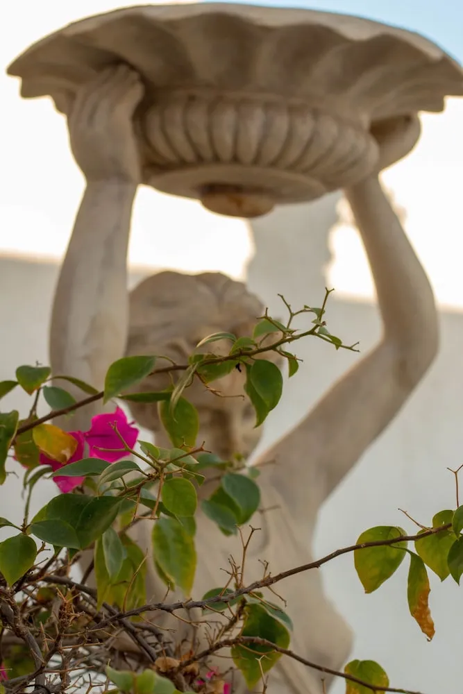 Premium Tek Büyük Yataklı Oda, Bahçe Manzaralı