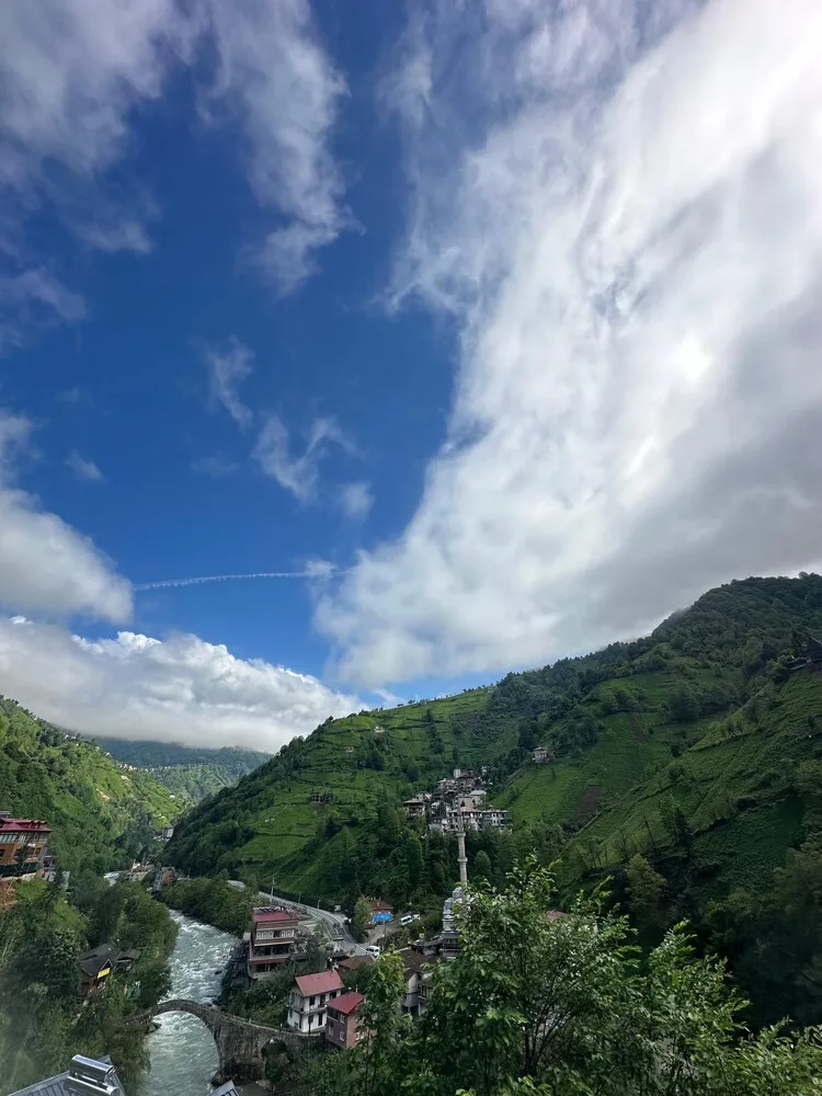 Deluxe Bungalov, 1 Yatak Odası, Sigara İçilmez, Nehir Manzaralı