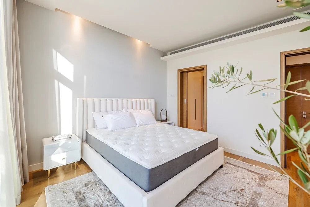 Signature Apart Daire, 1 Yatak Odası, Sigara İçilmez, Executive Katı