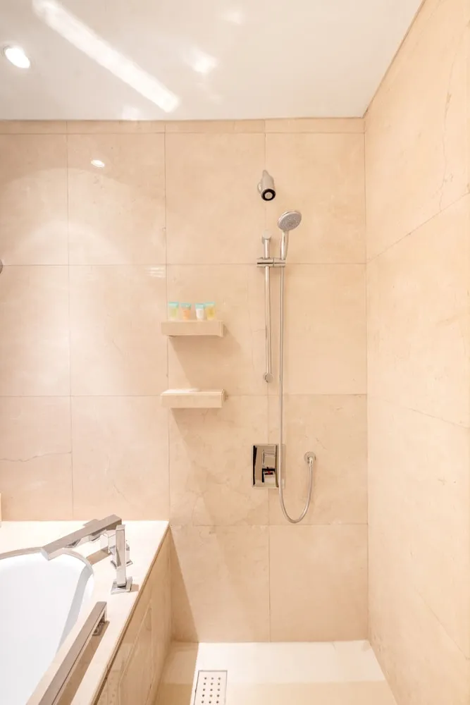 Deluxe 1BR Suite