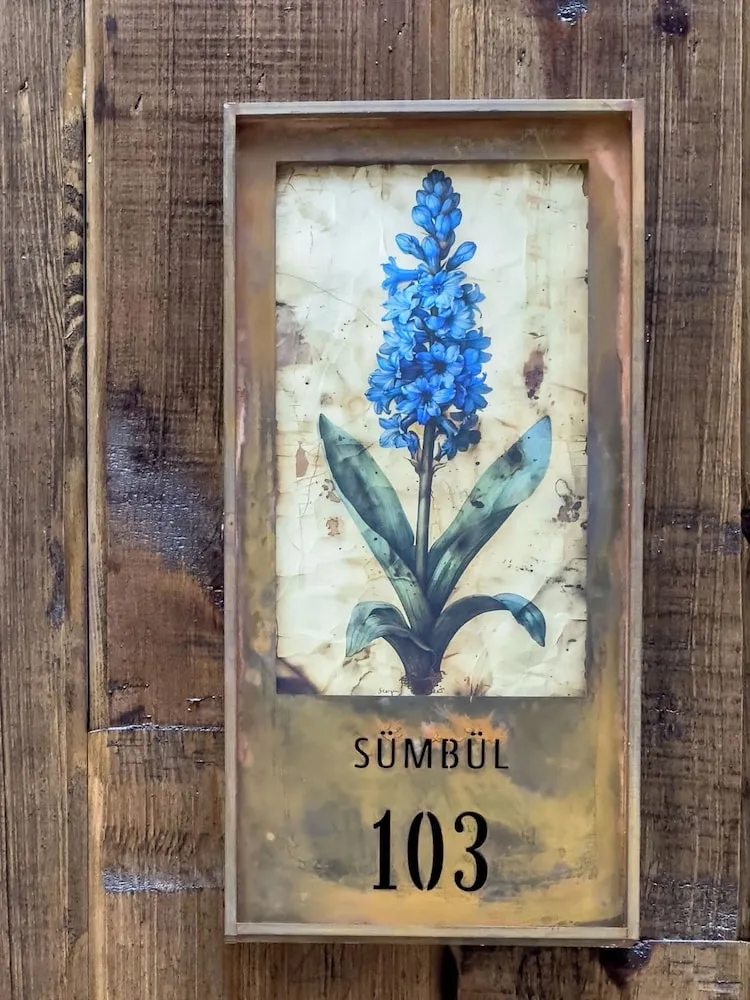 Deluxe Oda, 1 En Büyük (King) Boy Yatak