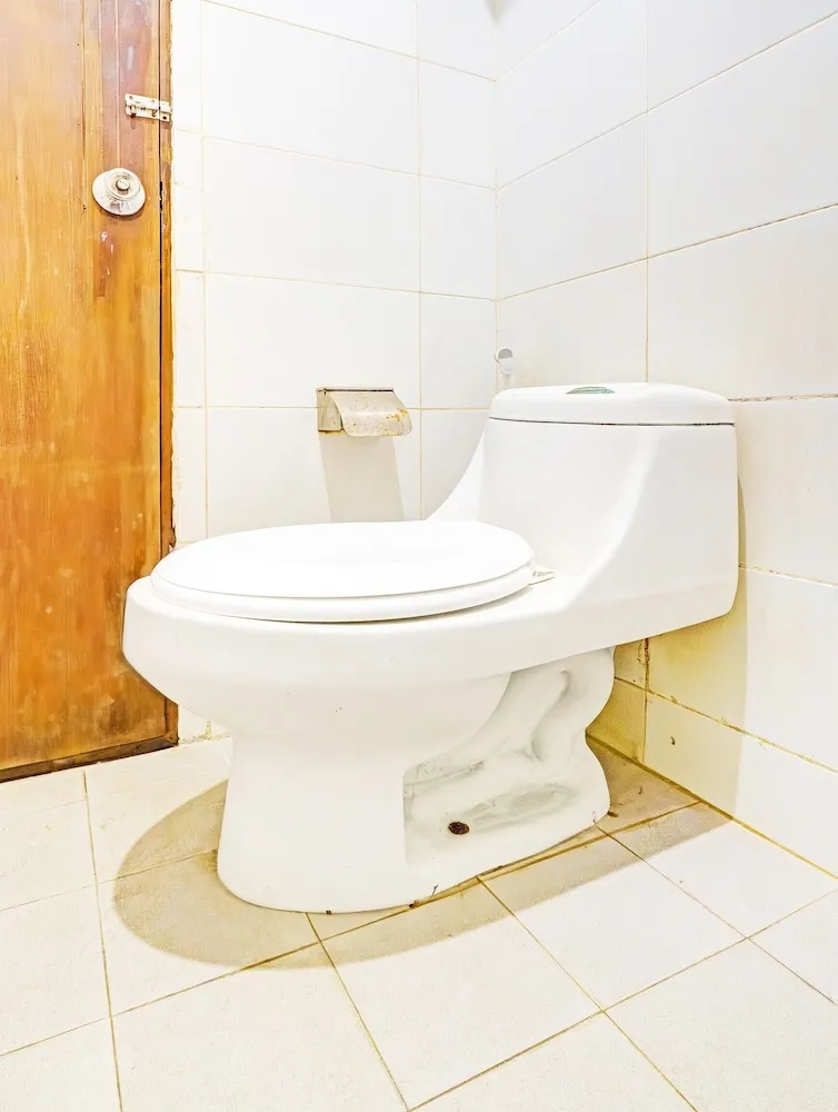 Standard Double - King