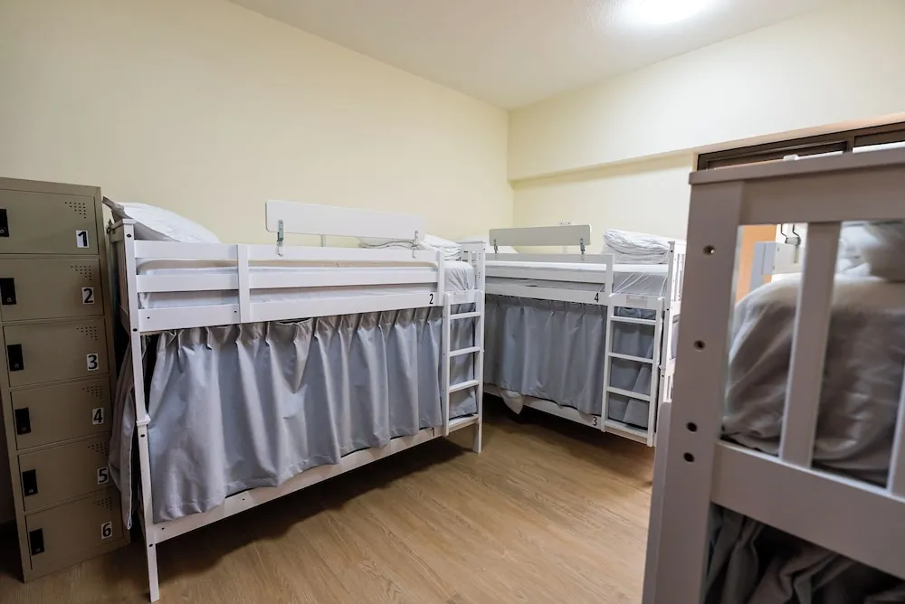 Bunk bed in Mixed Dormitory. Comfort Room, City View