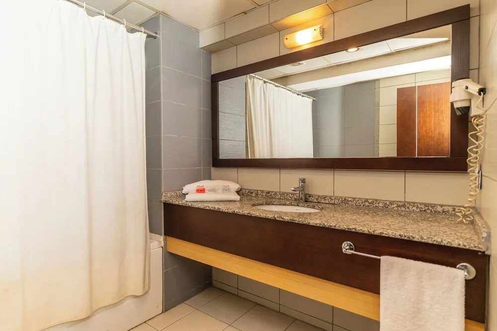 Classic İki Ayrı Yataklı Oda, Şehir Manzaralı