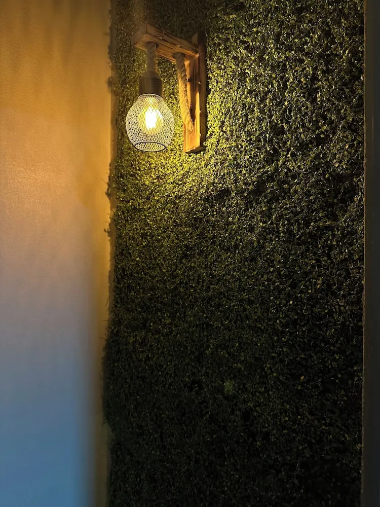 Comfort Ortak Ranzalı Oda, Şehir Manzaralı