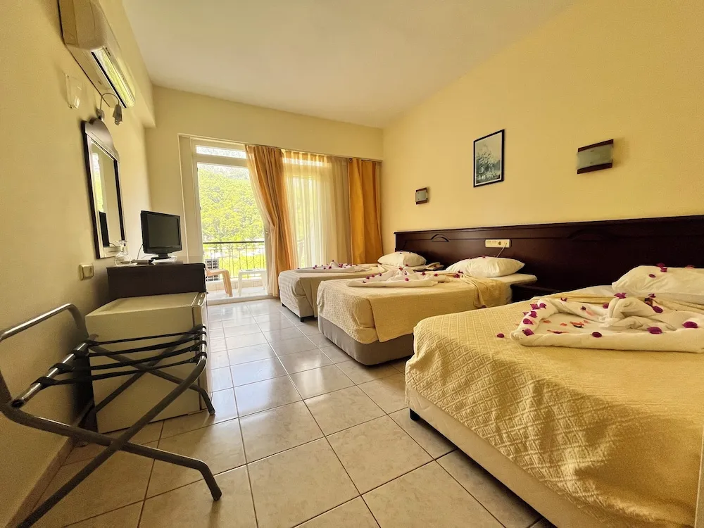 Standard Oda, Balkon, Dağ Manzaralı