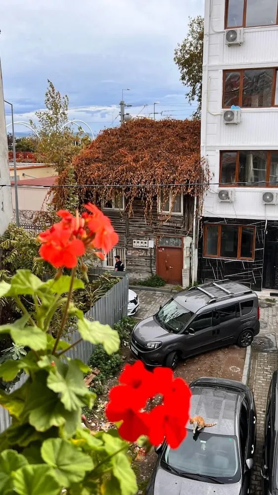 Family Dört Kişilik Oda, Şehir Manzaralı