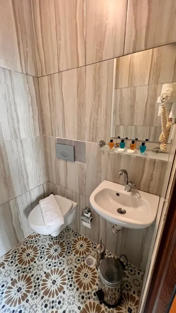 Economy Büyük Yataklı Tek Kişilik Oda, Sigara İçilmez, Şehir Manzaralı