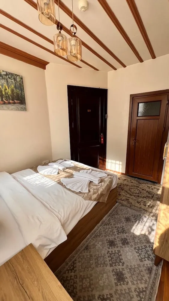 Economy Büyük Yataklı Tek Kişilik Oda, Sigara İçilmez, Şehir Manzaralı