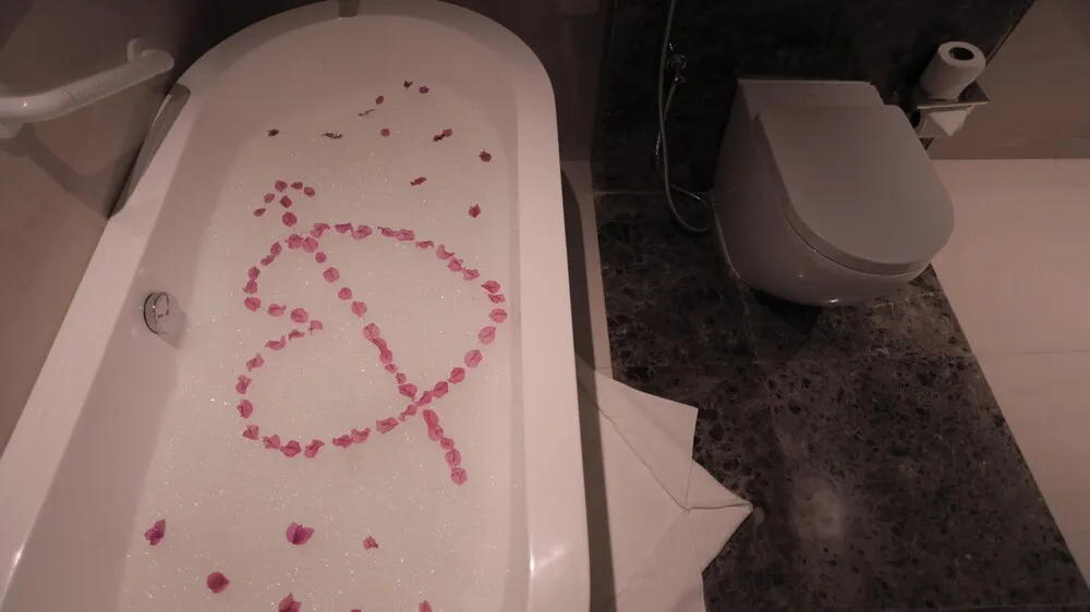 Executive Süit, Balkon, Şehir Manzaralı