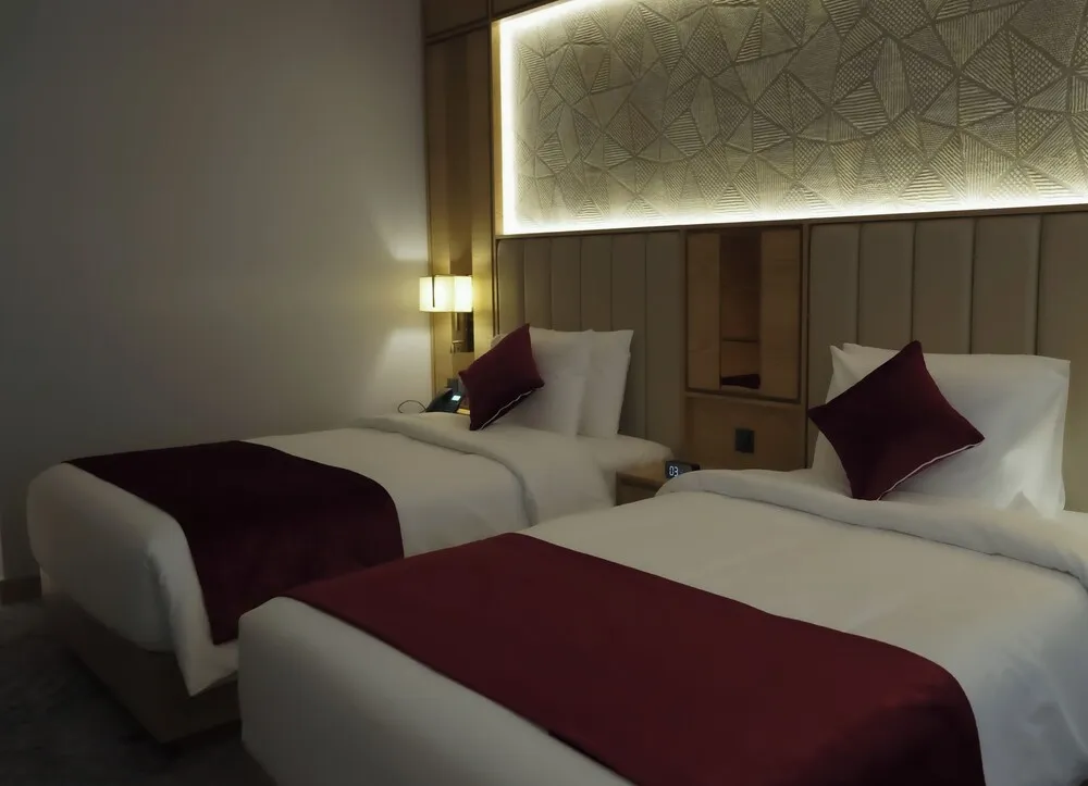 Standard İki Ayrı Yataklı Oda, Şehir Manzaralı