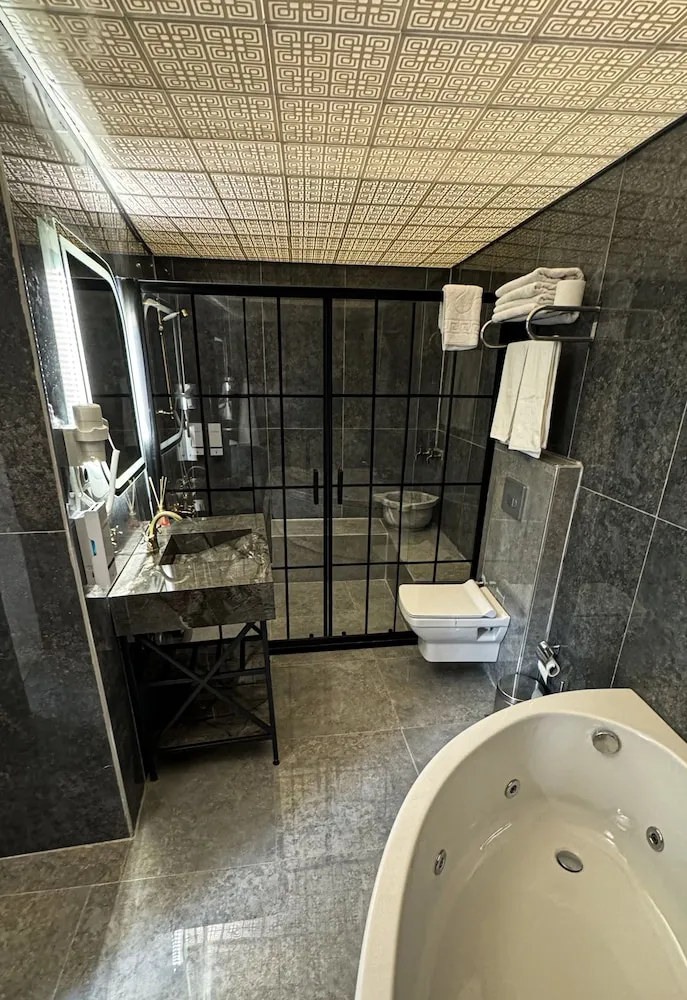Elite Tek Büyük Yataklı Oda, Avlu Manzaralı