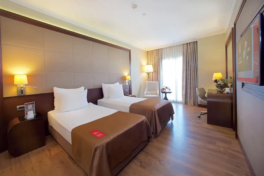 Deluxe Oda, 2 Tek Kişilik Yatak, Sigara İçilebilir