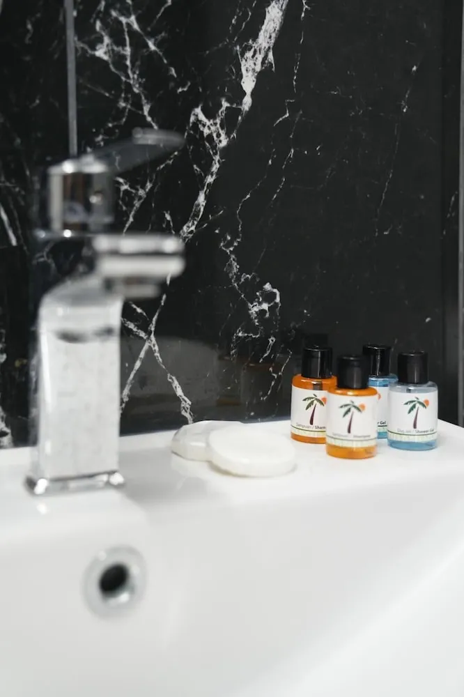 Tek Büyük veya İki Ayrı Yataklı Oda, Şehir Manzaralı