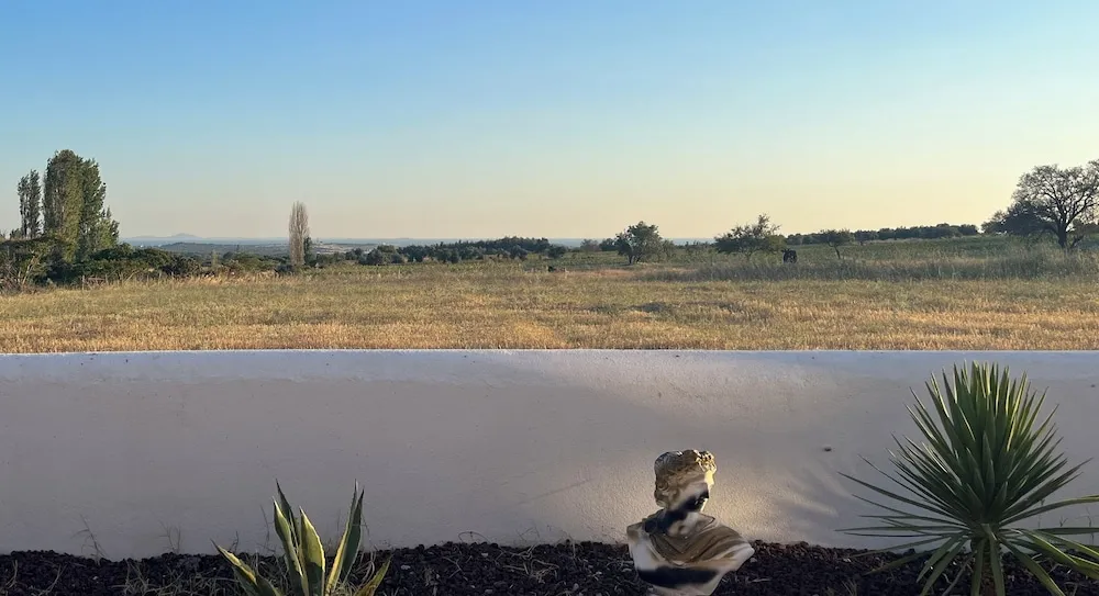 Junior Stüdyo Süit, Deniz Manzaralı