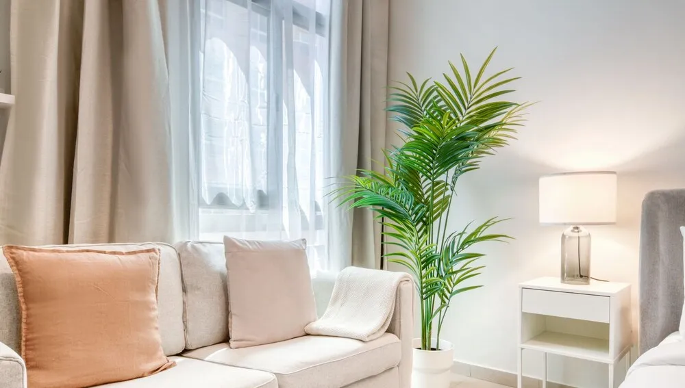 Stüdyo, Şehir Manzaralı