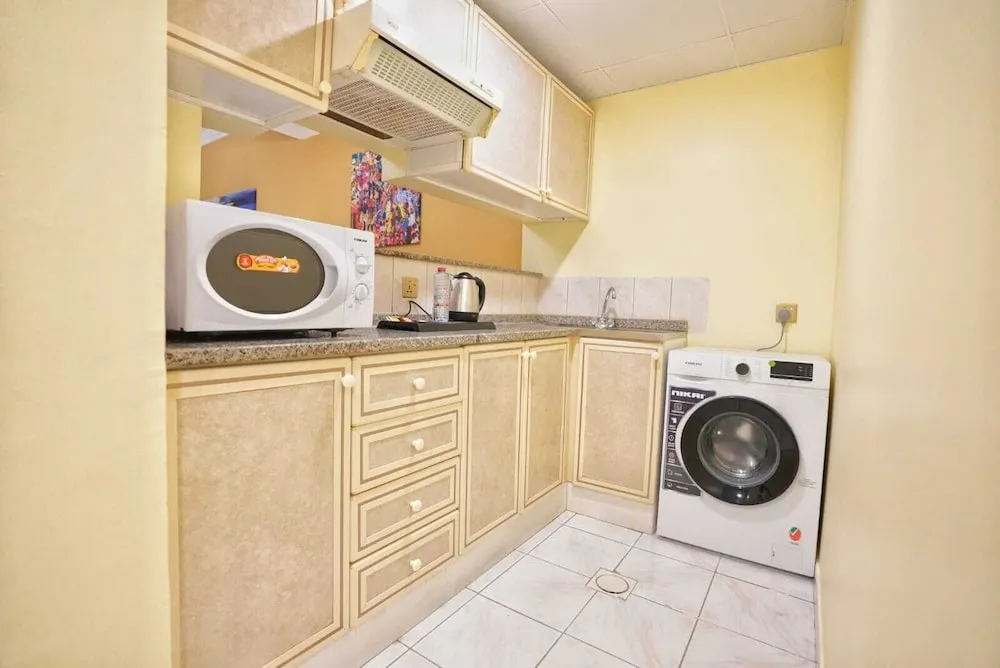 Deluxe Stüdyo, 1 En Büyük (King) Boy Yatak, Mutfak, Şehir Manzaralı