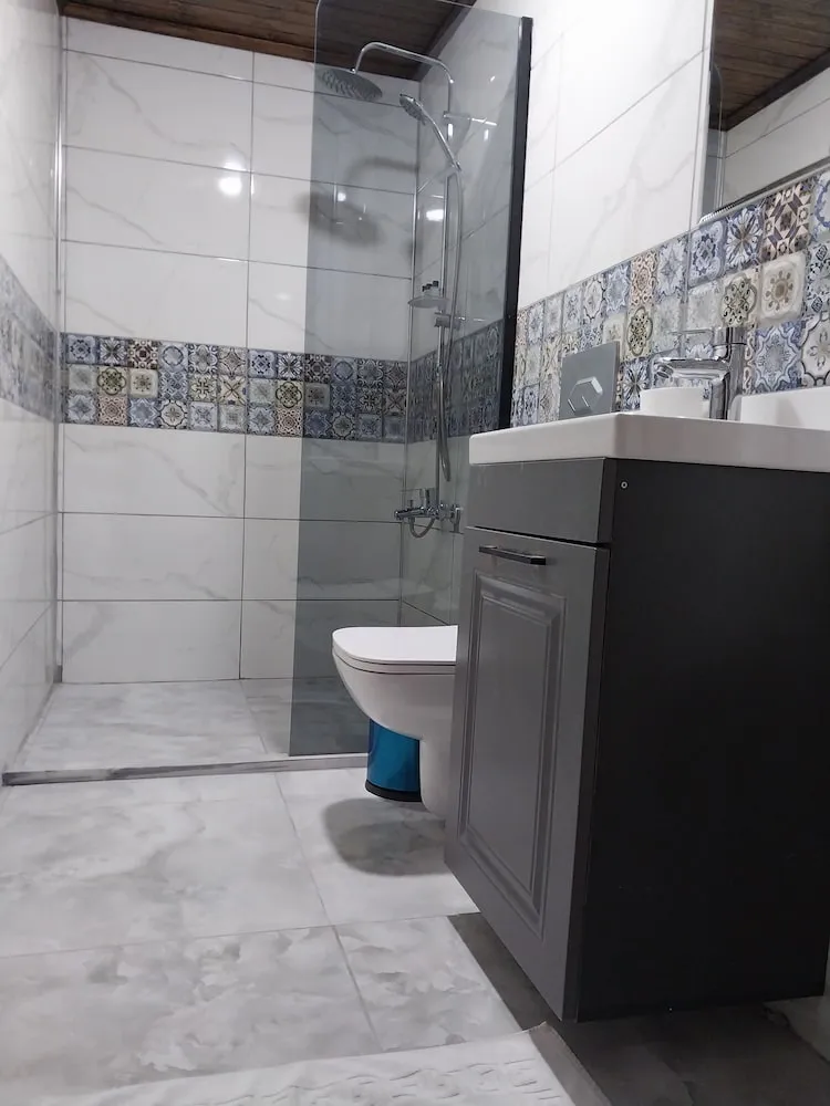 Standard Tek Büyük veya İki Ayrı Yataklı Oda, Şehir Manzaralı