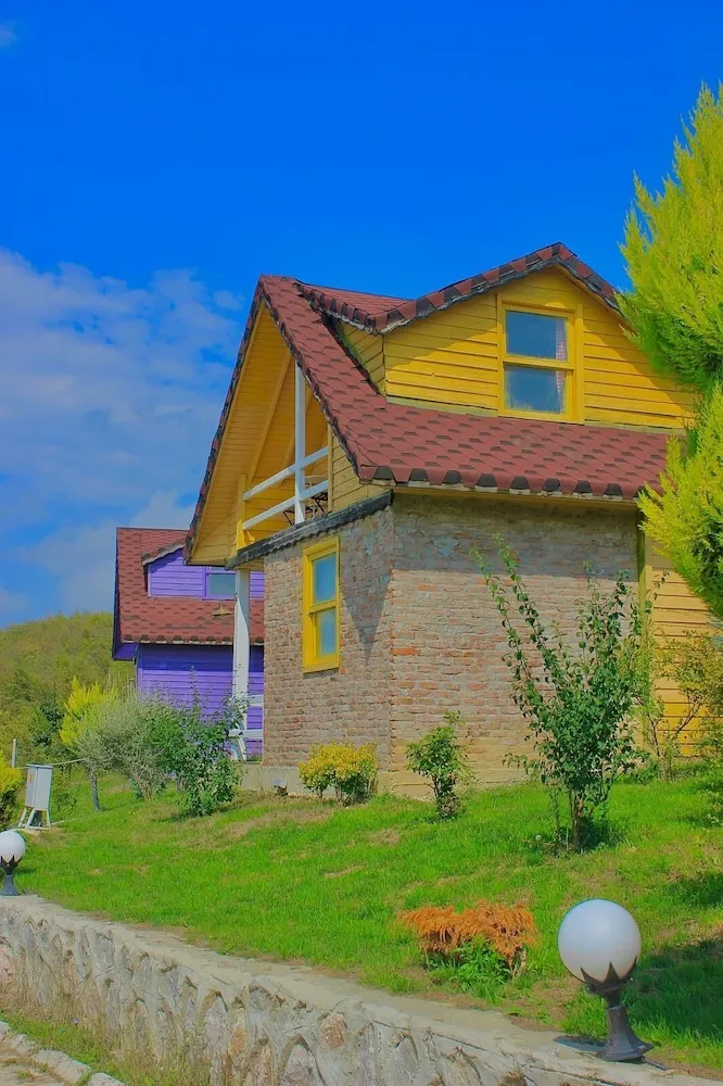 Basic Çatı Katı Süiti (Penthouse)