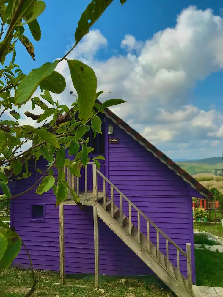Basic Çatı Katı Süiti (Penthouse)