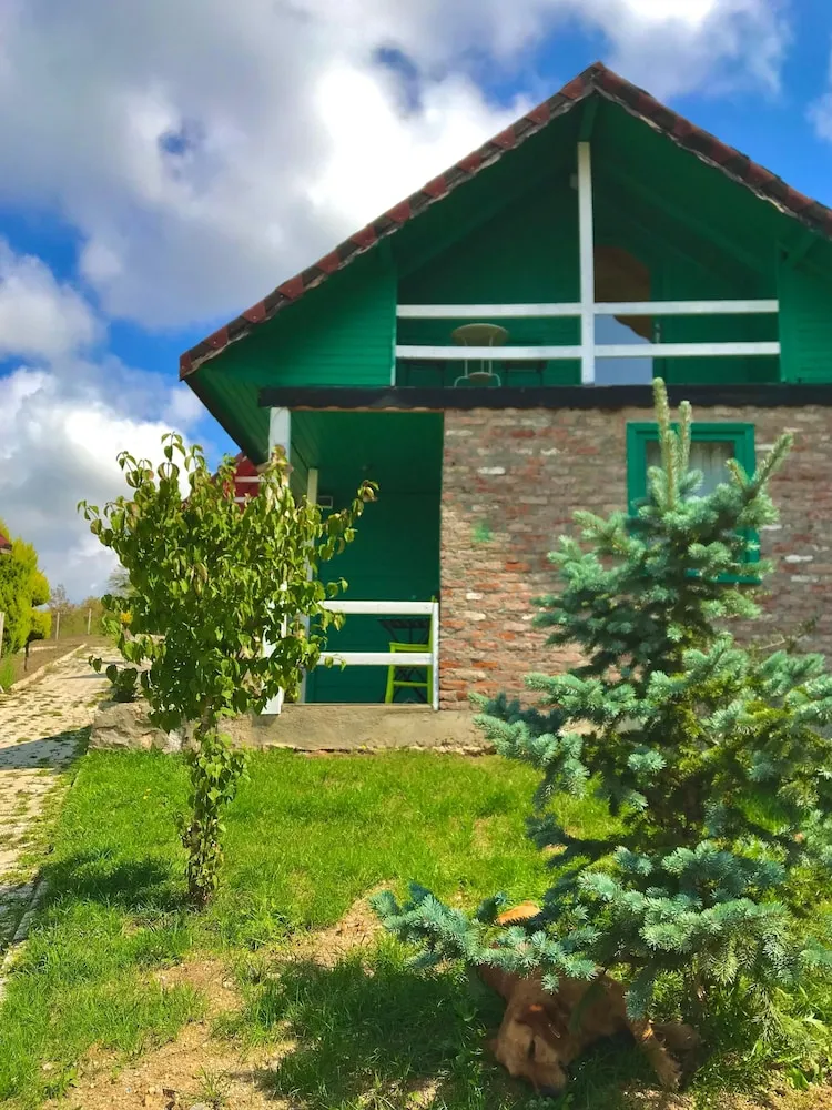 Basic Çatı Katı Süiti (Penthouse)