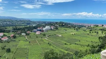 Bologina Suit Bungalov
