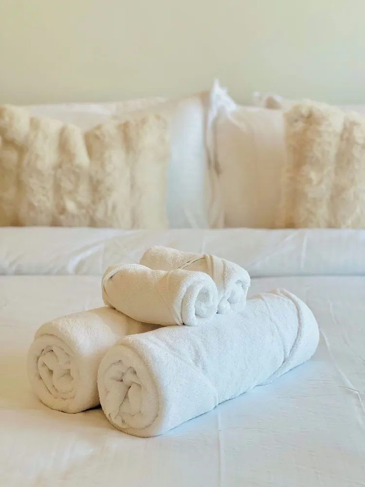 Deluxe Stüdyo, Balkon, Kanal Manzaralı