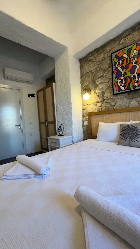 Classic Süit, 1 En Büyük (King) Boy Yatak, Bahçe Manzaralı