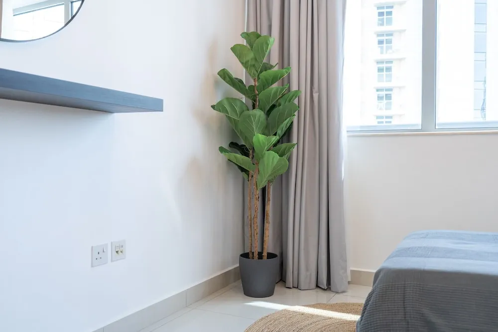 Standard Three Bedroom Apartment