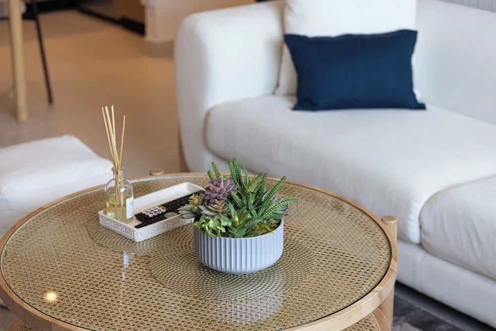 Luxury Apart Daire, Şehir Manzaralı