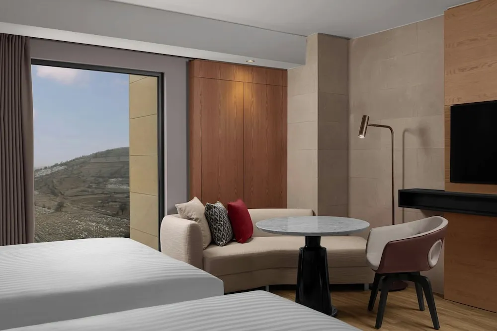 Superior Oda, 2 Tek Kişilik Yatak, Şehir Manzaralı