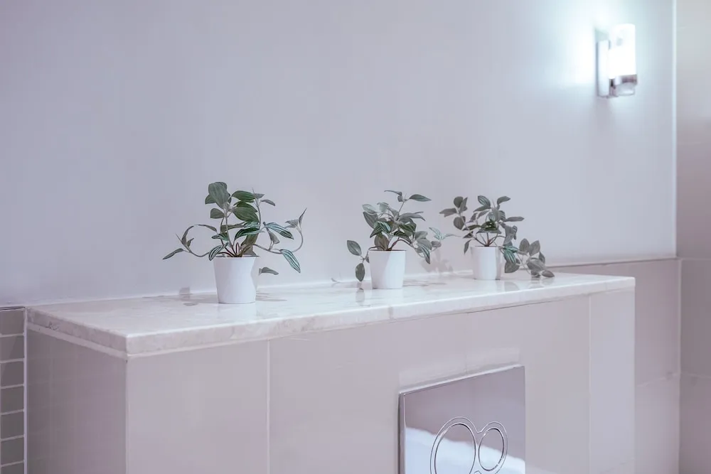 Stylish One Bedroom Apartment Standard