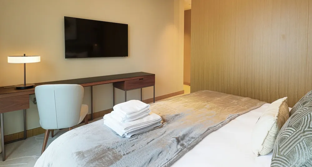 Deluxe Apart Daire, Balkon, Şehir Manzaralı