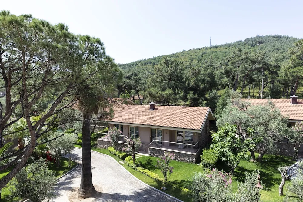 Süperior Oda, Orman Manzaralı