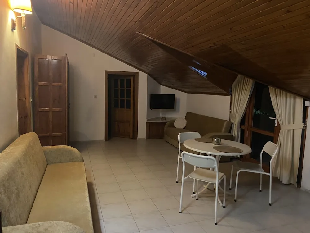 DENIZ,DAG,SEHIR,ORMAN MANZARALI,TERASLI