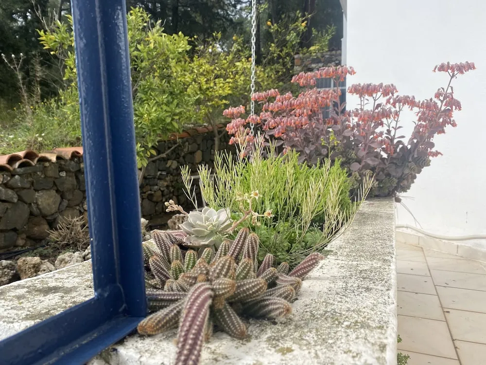 DOGA MANZARALI STUDYO DAIRE