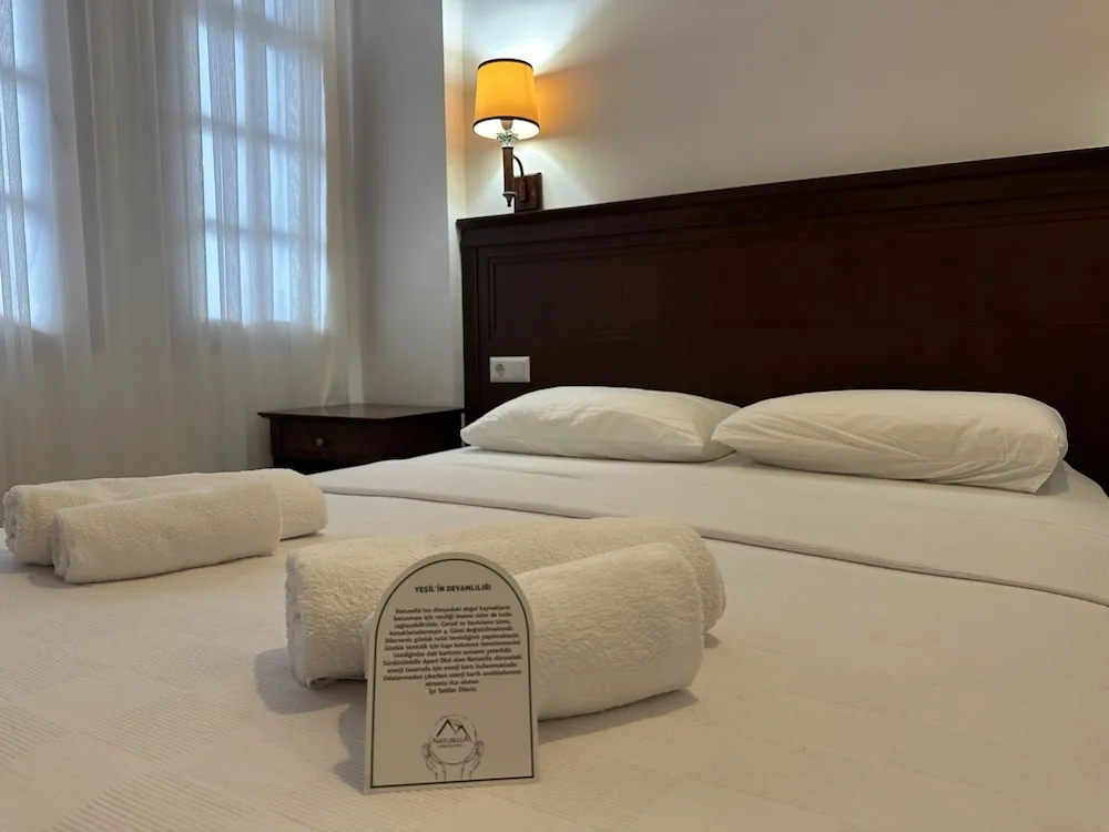 DOGA MANZARALI STUDYO DAIRE