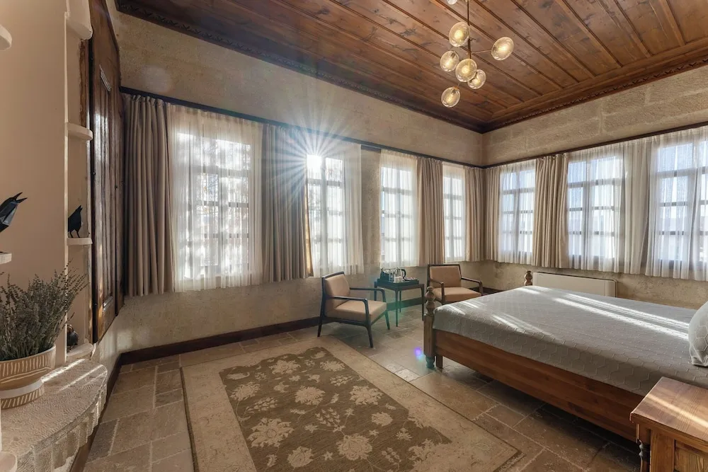 Pasha Suite