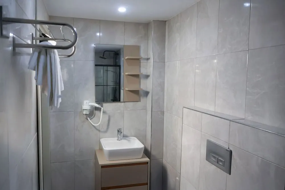 Standard Tek Büyük Yataklı Oda, Şehir Manzaralı
