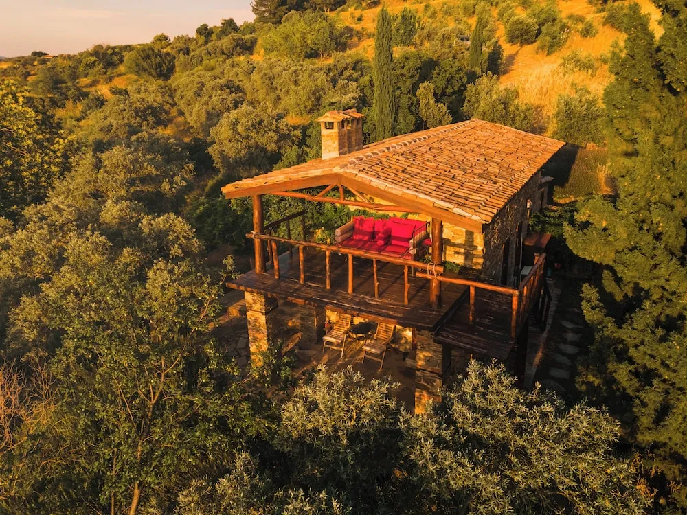 Vineyard House,Vineyard View