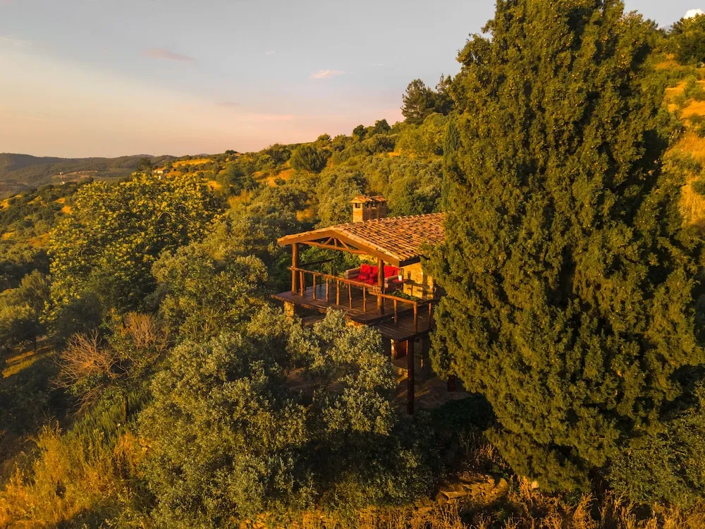 Vineyard House,Vineyard View