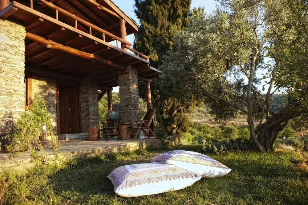 Vineyard House,Vineyard View