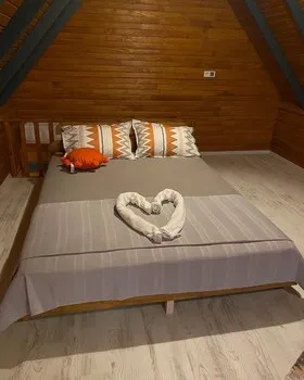 Ergenekon Bungalov