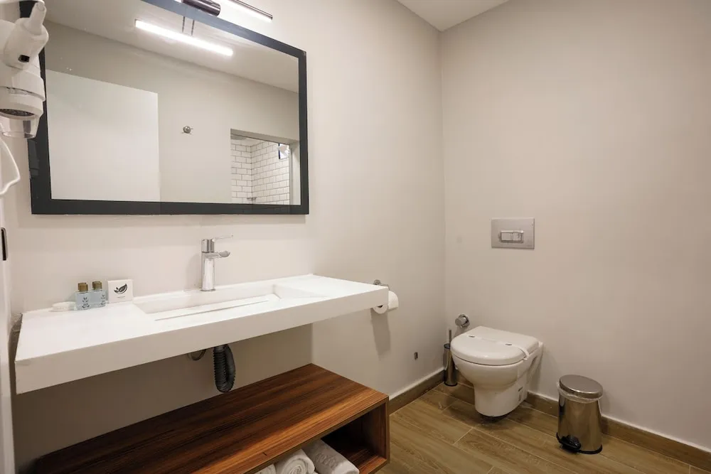 Standard Tek Büyük veya İki Ayrı Yataklı Oda, Birden Çok Yatak, Şehir Manzaralı