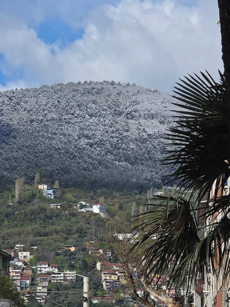 Classic Tek Büyük Yataklı Oda, Şehir Manzaralı