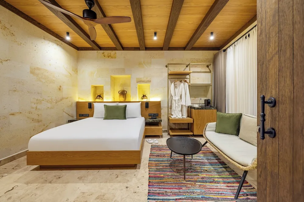 Superior Tek Büyük Yataklı Oda, Sigara İçilmez, Özel Banyo