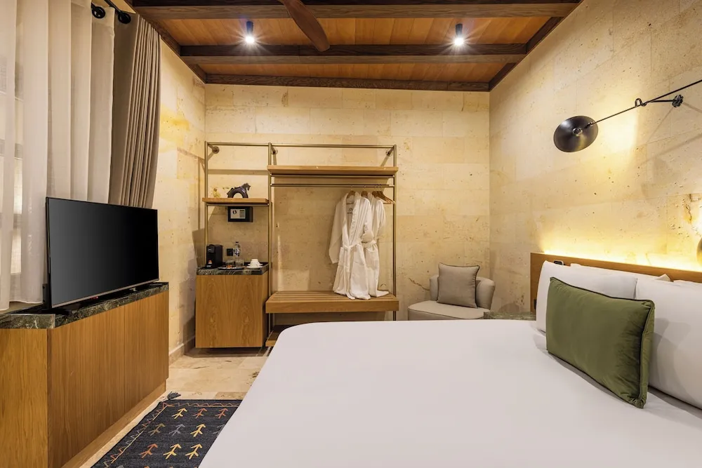 Superior Tek Büyük Yataklı Oda, Sigara İçilmez, Özel Banyo