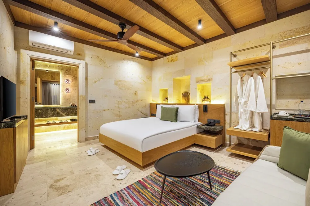 Superior Tek Büyük Yataklı Oda, Sigara İçilmez, Özel Banyo