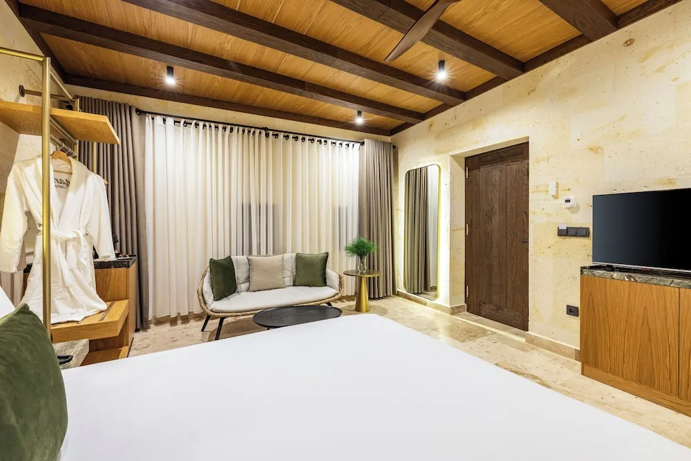 Superior Tek Büyük Yataklı Oda, Sigara İçilmez, Özel Banyo