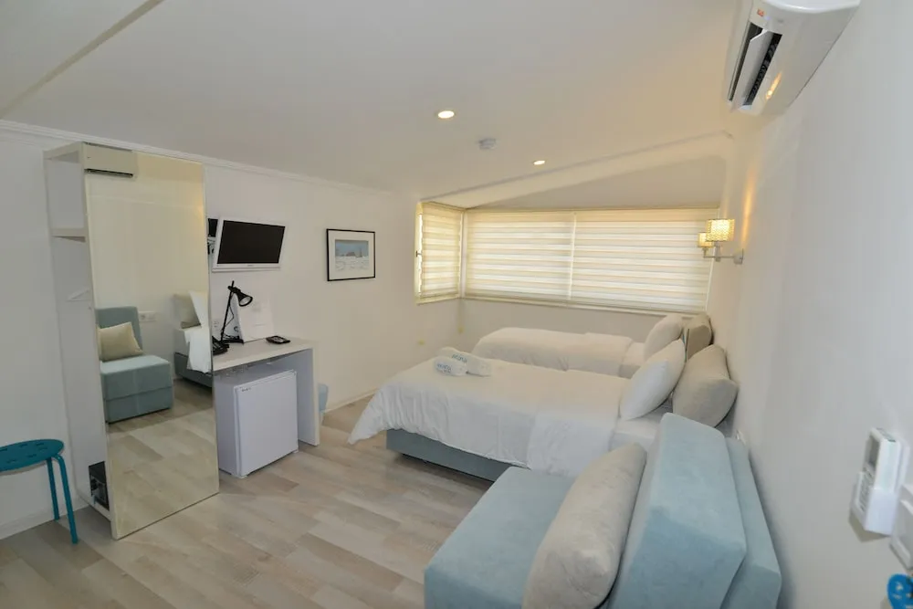 Standard Oda